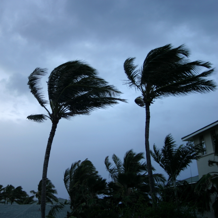 wind mitigation inspection boca raton florida